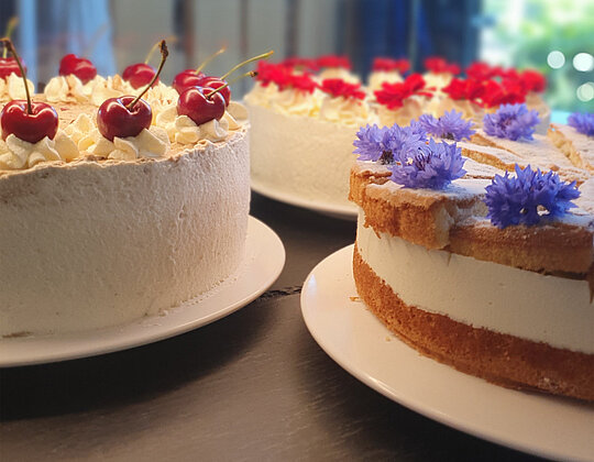 Lemp's Genussgarten Kuchenauswahl Drei verschiedene dekorierte Kuchen in einer Vitrine, einer mit Kirschen, einer mit roten Blumen und einer mit blauen Blüten.